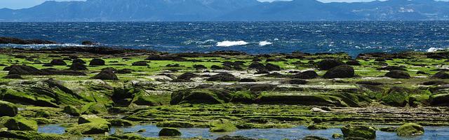 我在東京真沒除靈繁體免費章節免費享，期待您的品鑒