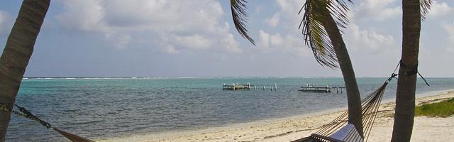 上門龍婿葉辰蕭初然_第2787章 你必須都得拿著