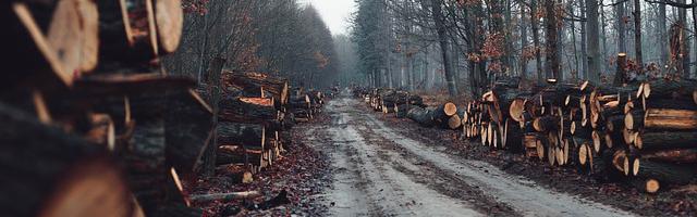 都市神醫葉辰很囂張_第380章 你很意外？ （6/10）