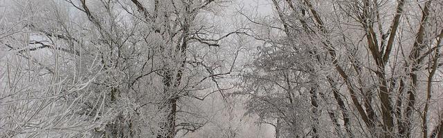 都市神醫葉辰很囂張_第4章 罷休！