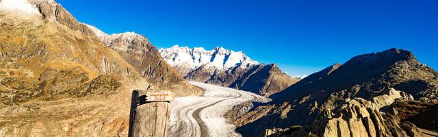 柯南里的撿尸人繁體免費章節免費享，期待您的品鑒