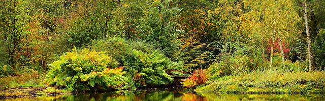 都市神醫葉辰很囂張_第12187章 留下來！