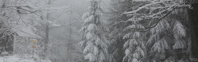 快穿直播：炮灰逆襲攻略繁體免費章節，邀您共賞