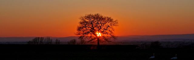 上門龍婿葉辰蕭初然_第3324章 十場！