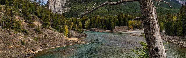 都市神醫葉辰很囂張_第286章 你算什么東西！（五更！）