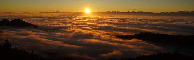 國運求生：開局盤古斧，舉世皆驚繁體免費章節，邀您共賞