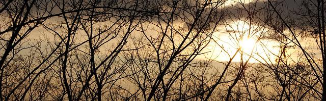 上門龍婿葉辰蕭初然_第3183章 遺落民間的超級大少爺