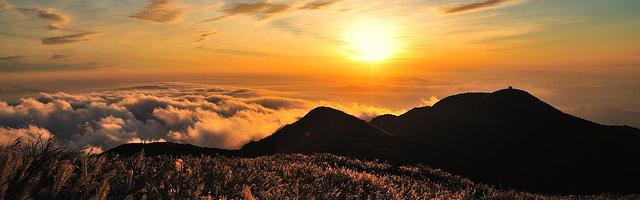 上門龍婿葉辰蕭初然_第89章 裝神弄鬼