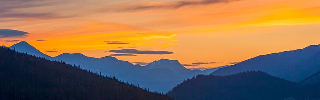 都市神醫葉辰很囂張_第21章 給我閉嘴！道歉！