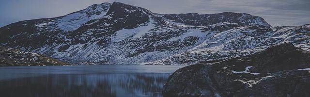 我真不是什么中單大腿啊繁體免費章節免費享，期待您的品鑒