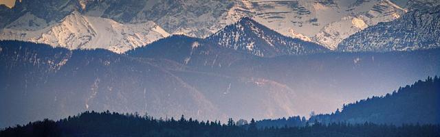 都市神醫葉辰很囂張_第251章 簡單！粗暴！（第四更！）