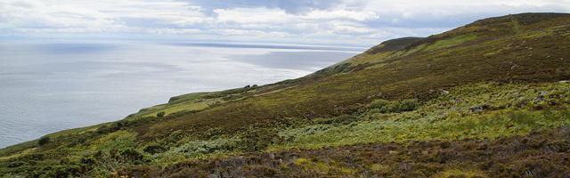 柯南之毛利小五郎繁體免費章節免費享，期待您的品鑒
