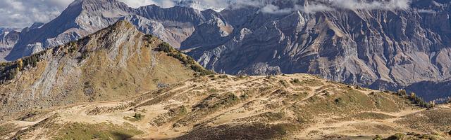 上門龍婿葉辰蕭初然_第2899章 兩條路