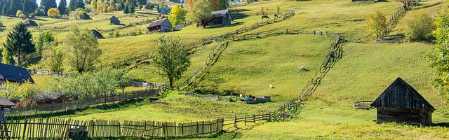 凡噬仙繁體免費章節免費享，期待您的品鑒