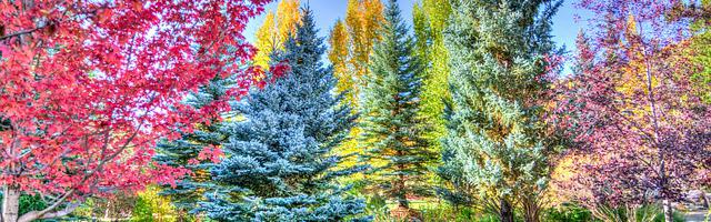 上門龍婿葉辰蕭初然_第204章 化為齏粉