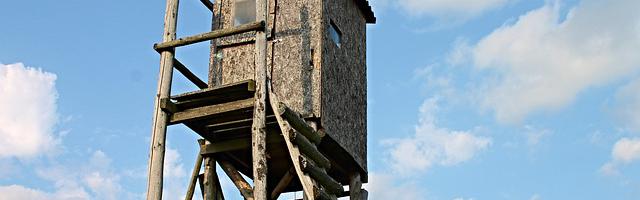 都市神醫葉辰很囂張_第68章 還有機會！