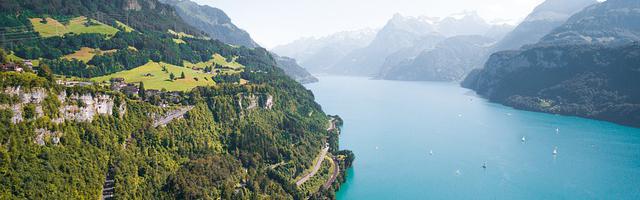 都市神醫葉辰很囂張_第 12000 章 都來了