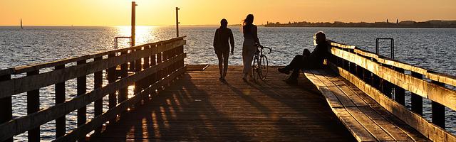 都市神醫葉辰很囂張_第12173章 武之道