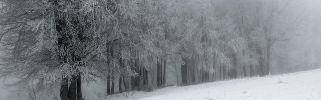 都市神醫葉辰很囂張_第12115章 歸鄉