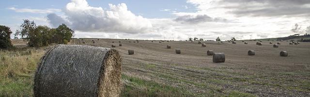 上門龍婿葉辰蕭初然_第23章 獻殷勤