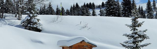 通天仙路繁體免費章節免費享，期待您的品鑒