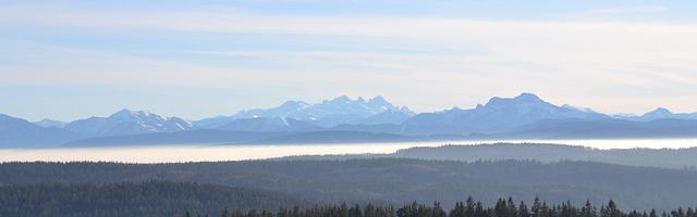 都市神醫葉辰很囂張_第12177章 底牌