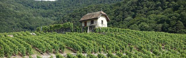 斗破蒼穹神之炎帝繁體免費章節免費享，期待您的品鑒