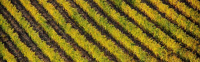 都市神醫葉辰很囂張_第 11958 章 遮蔽