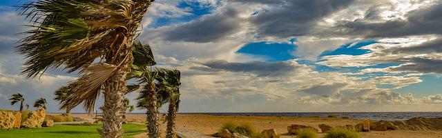 黑卡繁體免費章節，邀您共賞