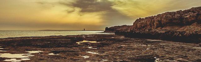 都市神醫葉辰很囂張_第12301章 錯覺（三合一）