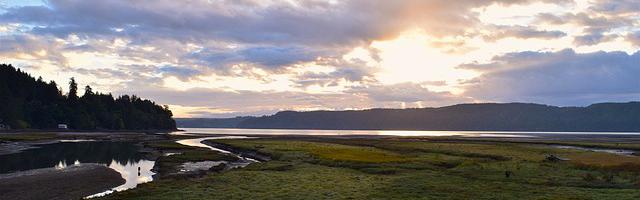 上門龍婿葉辰蕭初然_第50章 葉辰出手