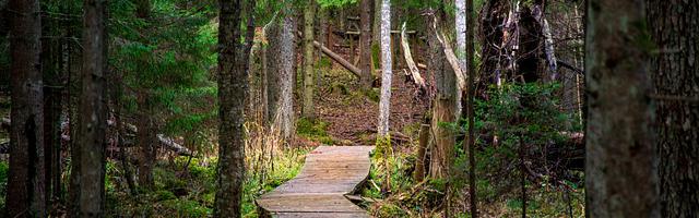 國士行繁體免費章節，邀您共賞