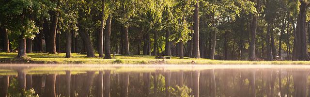 都市神醫葉辰很囂張_第12268章 更棘手（三章合一）