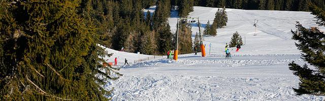 上門龍婿葉辰蕭初然_第3307章 真理掌握在少數人手里