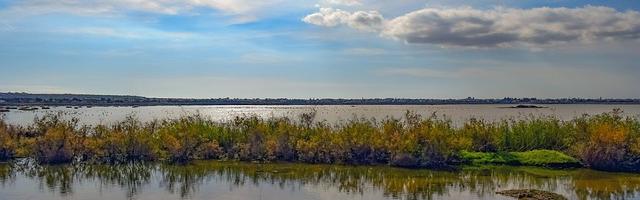 史上第一敗家子繁體免費章節免費享，期待您的品鑒