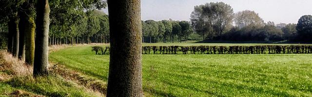 上門龍婿葉辰蕭初然_第600章 魏氏制藥讓渡