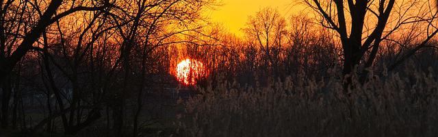 都市神醫葉辰很囂張_第12231章 閻浮醒（三章合一）