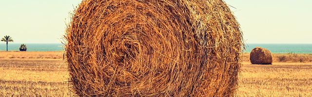 上門龍婿葉辰蕭初然_第275章 給她做個局！