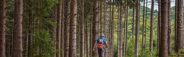 都市神醫葉辰很囂張_第43章 那個恐怖的男人！（求推薦票）