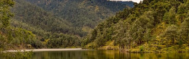 上門龍婿葉辰蕭初然_第6章 立下賭約