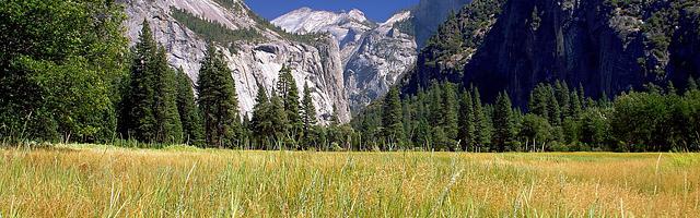 才不是魔女繁體免費章節免費享，期待您的品鑒