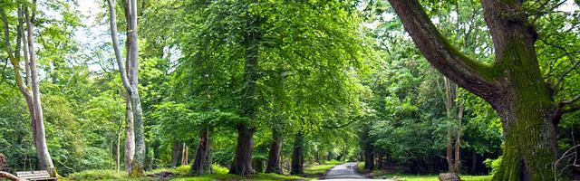全職高手番外之巔峰榮耀繁體免費章節免費享，期待您的品鑒