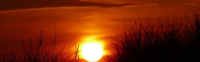 夢醒細無聲繁體免費章節，邀您共賞