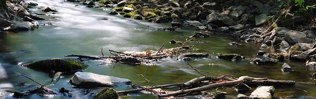 上門龍婿葉辰蕭初然_第3351章 野狗之道