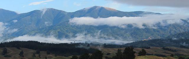 都市神醫葉辰很囂張_第349章 他的血，不配！（二更！）