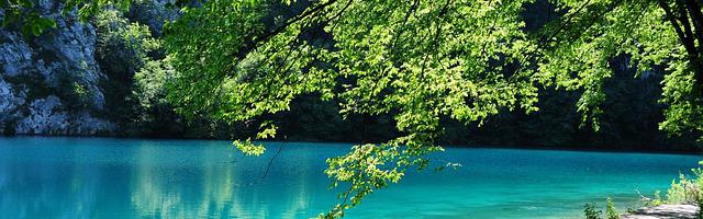 轉生眼中的火影世界繁體免費章節免費享，期待您的品鑒