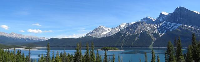 都市神醫葉辰很囂張_第45章 誰敢說我女朋友！