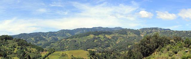 都市極品醫神繁體免費章節，邀您共賞