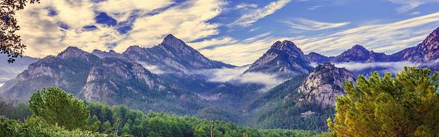 上門龍婿葉辰蕭初然_第477章 給我滾過來！