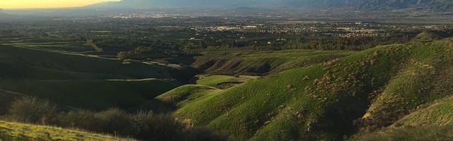 上門龍婿葉辰蕭初然_第26章 葉公子